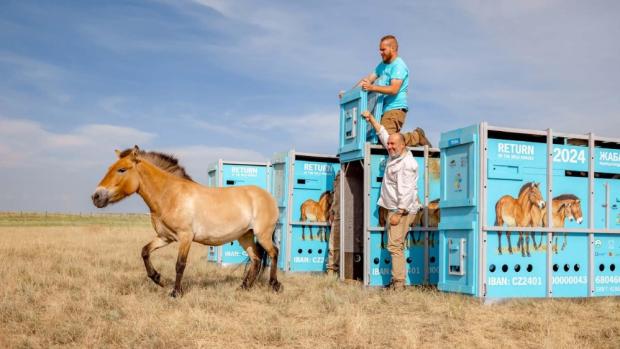 Foto: Anna Bernátková