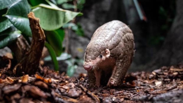 Photo: Oliver Le Que, Prague Zoo