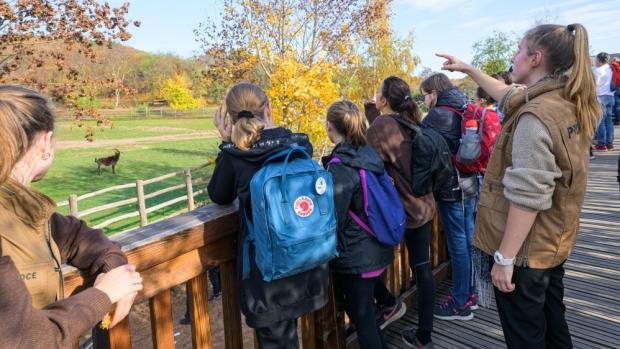 Foto: Petr Hamerník, Zoo Praha 