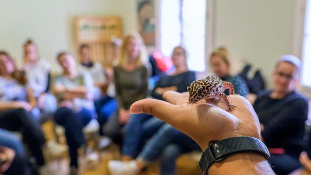 Guide services, photo (c) Petr Hamerník, Zoo Praha