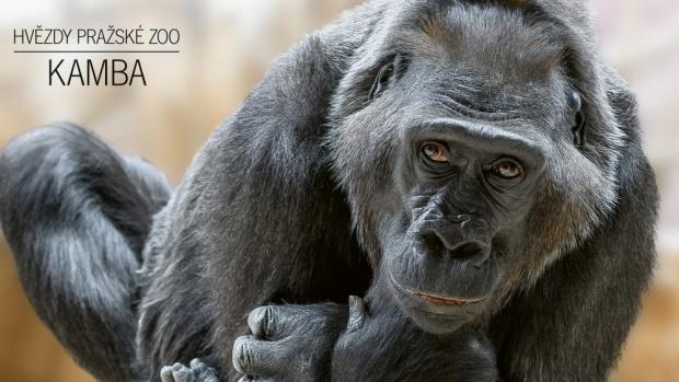 Fotografická kampaň (c) Zoo Praha
