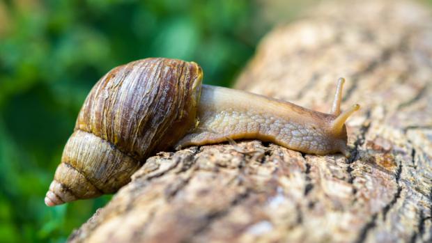 Foto: Petr Hamerník, Zoo Praha