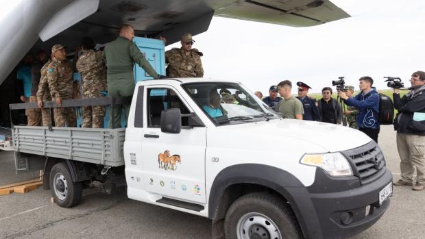 Vykládka transportních boxů s koňmi Převalského na přistávací ploše v Arkalyku ve středním Kazachstánu. Foto: Václav Šilha, Zoo Praha