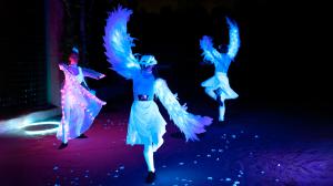 Světelná show při svátku světel Diwali. Foto: Petr Hamerník, Zoo Praha