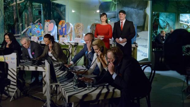 Telefony neustále zvonily po celou dobu živého přenosu. Od diváků padaly i otázky, jak se celebritám líbí prostředí zoo. Nakonec se podařilo vybrat bezmála 24 miliónů korun. Foto: Khalil Baalbaki, Zoo Praha.