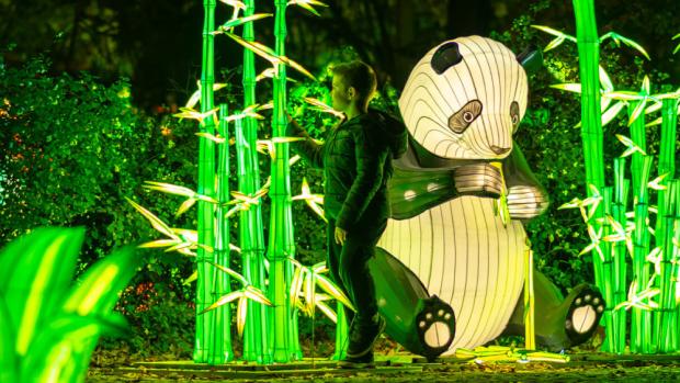 Foto: Garden of Lights