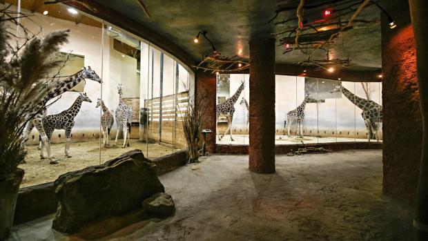 Африканский дом