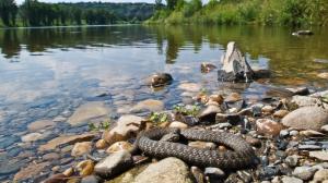 PPhoto: Mikuláš Velenský, Prague zoo