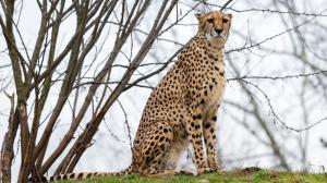 Foto: Petr Hamerník, Zoo Praha