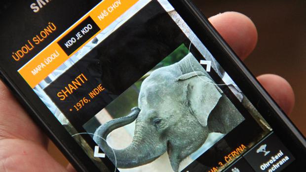 Мобильное приложение «Долина слонов»