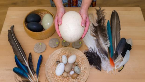 Foto: Petr Hamerník, Zoo Praha