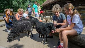 Foto: Petr Hamerník, Zoo Praha