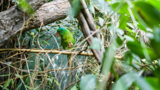 Foto: Petr Hamerník, Zoo Praha