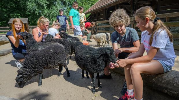 Foto: Petr Hamerník, Zoo Praha