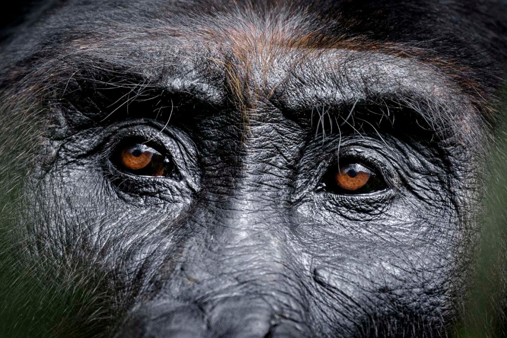 Photo: Miroslav Bobek