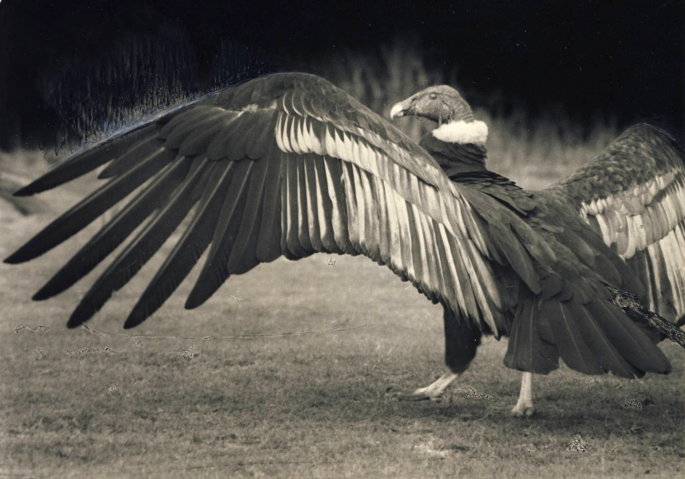 Foto: Rudolf Pucholt