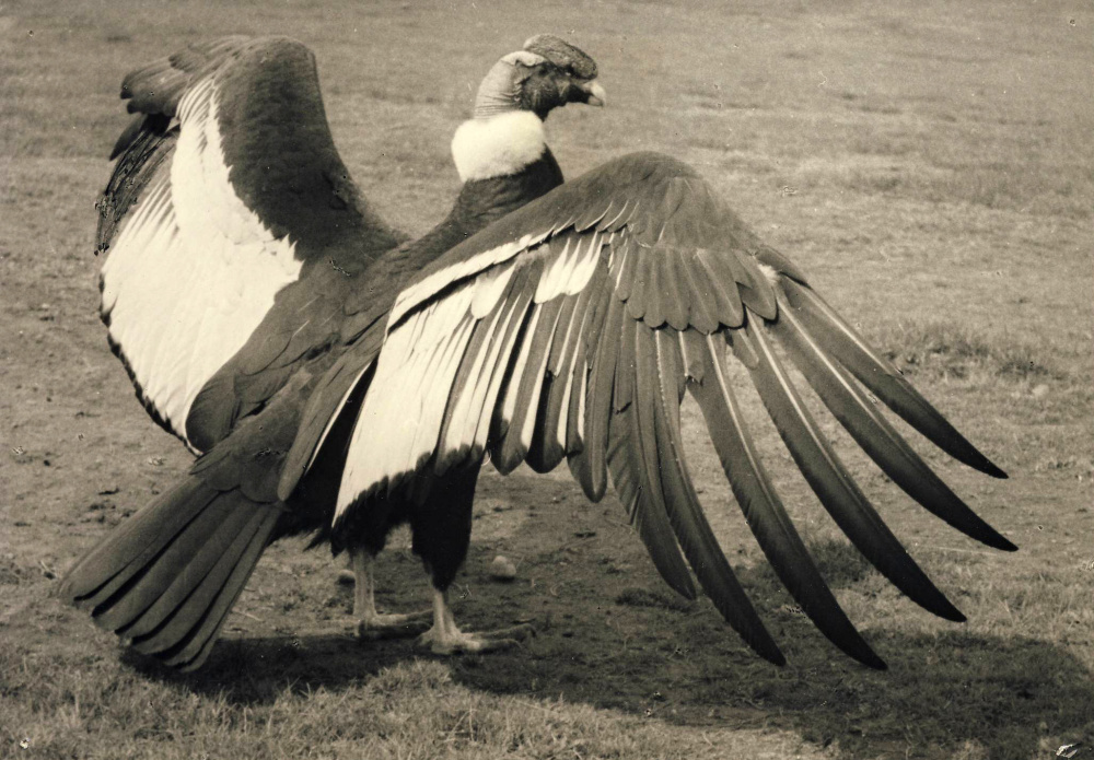 Foto: Rudolf Pucholt