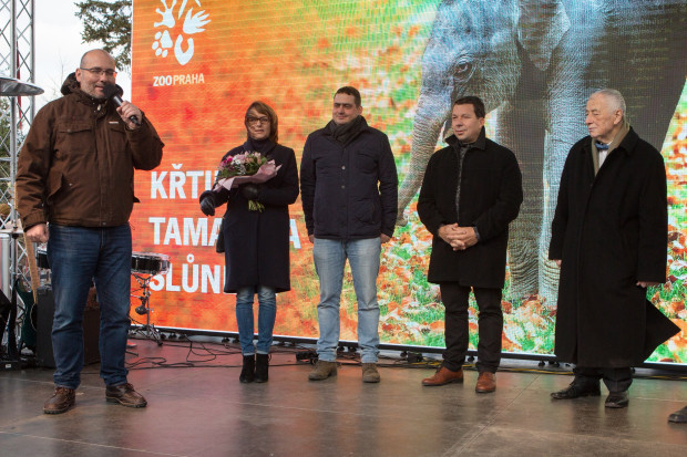 Slavnostní program u příležitosti křtin druhého stoprocentně pražského slůněte byl zahájen za přítomnosti významných hostů a kmotrů. Foto: Václav Šilha, Zoo Praha
