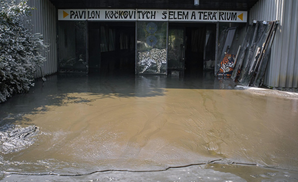 Když voda začala opadávat, odhalila postupně obraz zkázy. Zničené budovy, někdy doslova vykuchané, a především nánosy hustého, lepkavého a kontaminovaného bahna. Při jeho odstraňování pomáhaly desítky ochotných rukou dobrovolníků, kterým patří i po dvaceti letech obrovský dík. Photo: archiv Zoo Praha