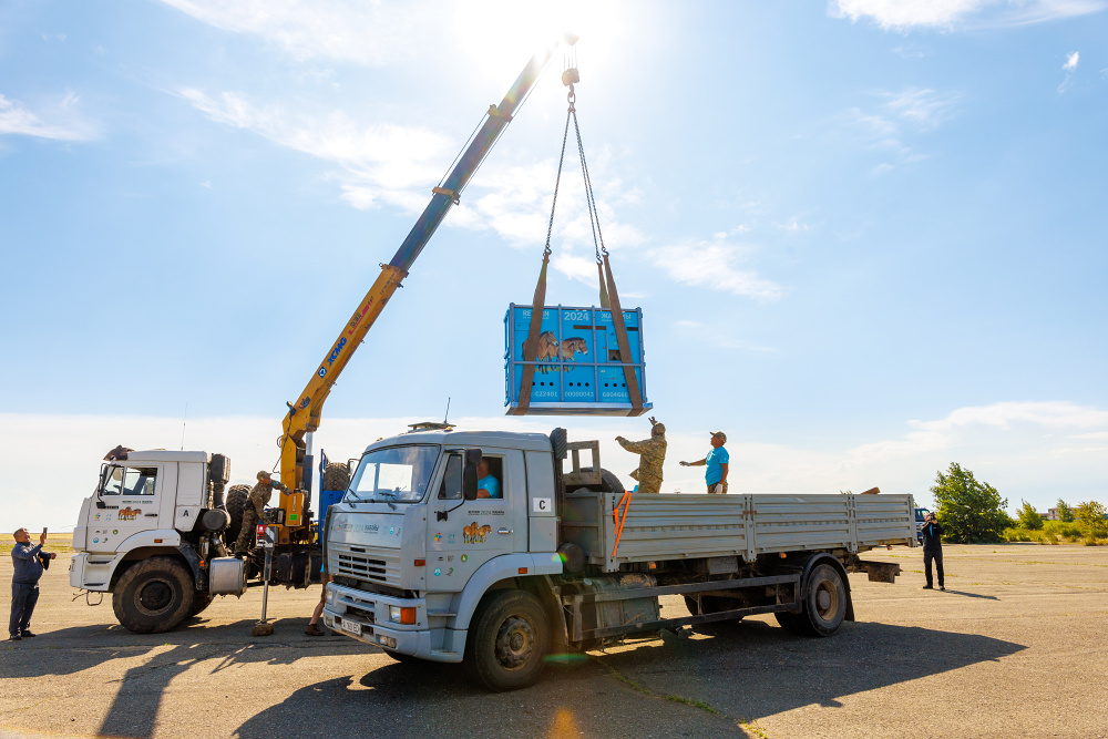 Foto: Václav Šilha