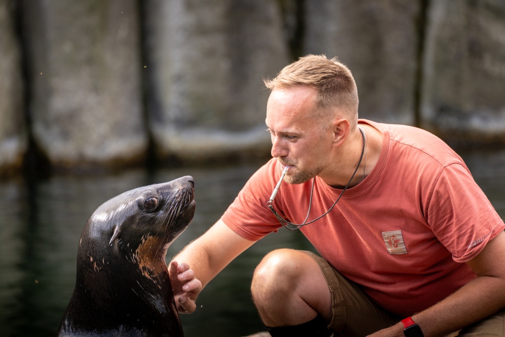 Oslo se učí veterinárnímu tréninku s vrchním chovatelem Jakubem Mezeiem v Zoo Praha. Foto Oliver Le Que, Zoo Praha