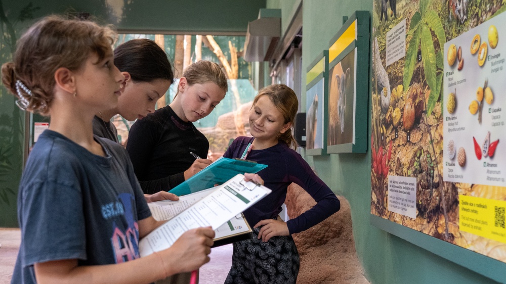 Foto: Oliver Le Que, Zoo Praha Foto: Oliver Le Que, Zoo Praha