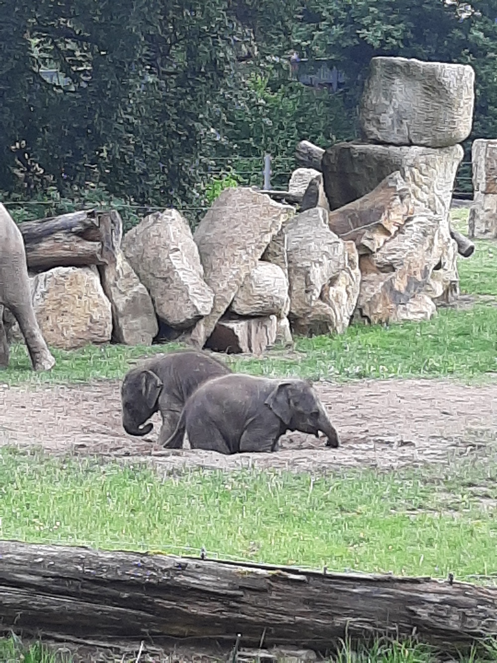 Lakuna a Amalee :), autor: Petra Kršňáková, kategorie: Foceno mobilem – Sloní princezny, ID: 234