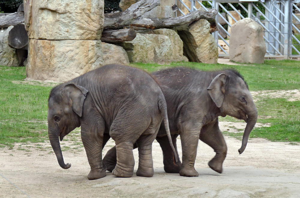 Zrcadlení, autor: Kateřina Tahalová, kategorie: Fotí děti – Sloní princezny, ID: 406