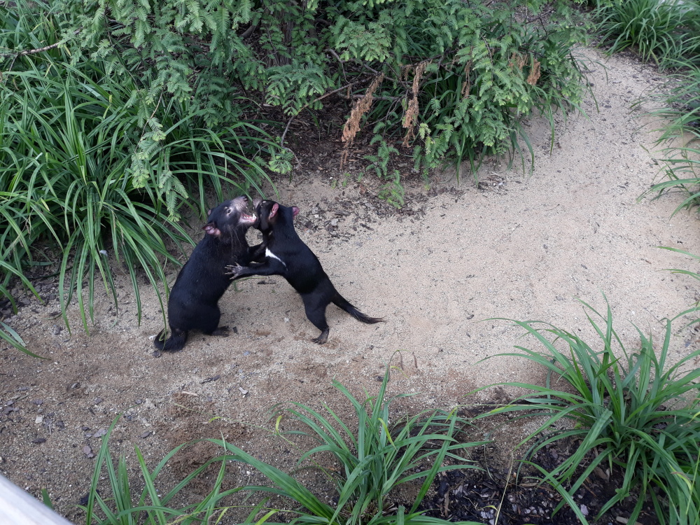 Návštěva kráteru, autor: Eva Klímová, kategorie: Foceno mobilem – Darwinův kráter, ID: 449