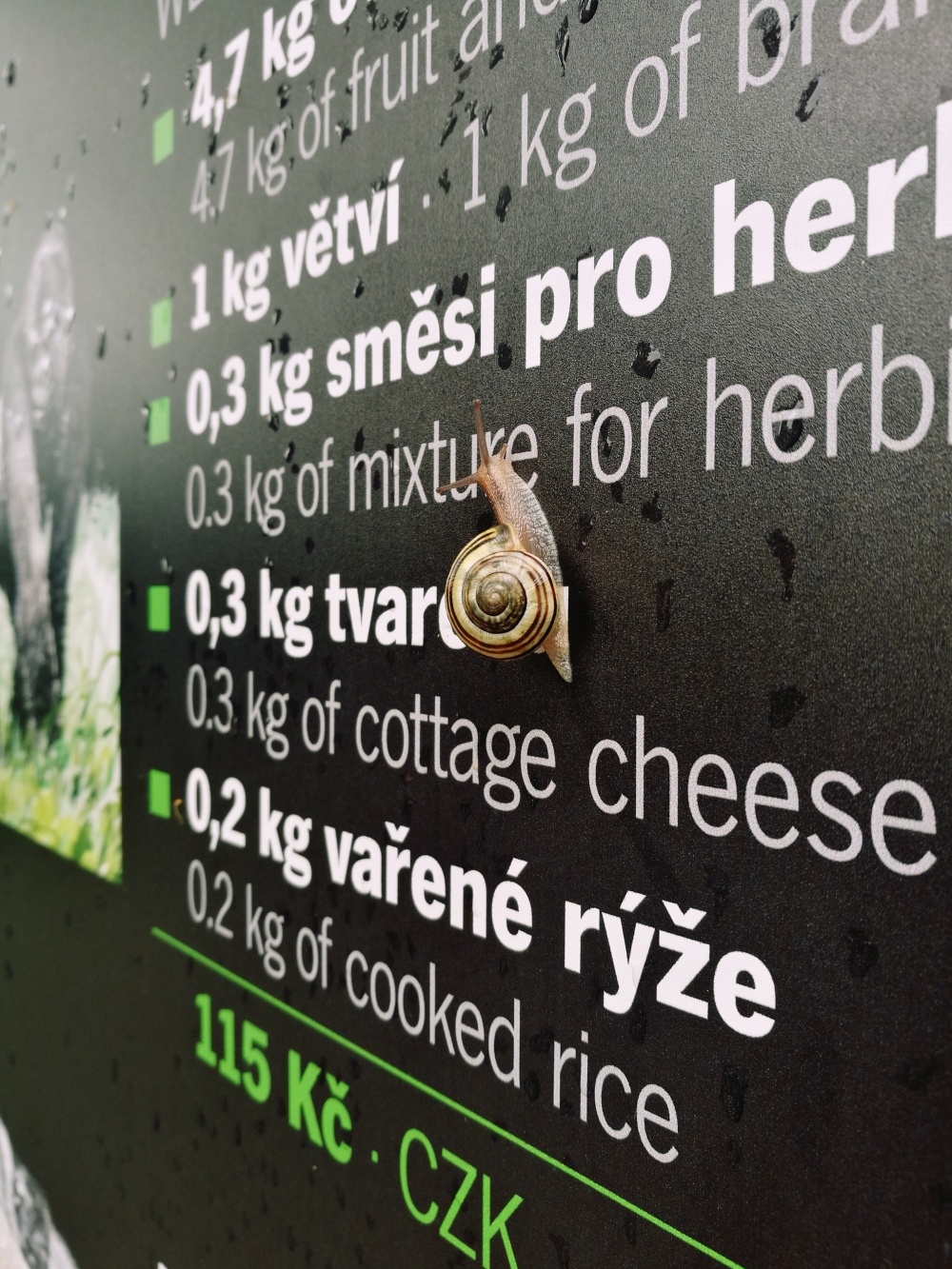 Mapování šnečí cesty, autor: Tereza Urbanová, kategorie: Foceno mobilem – Příroda v Zoo Praha, ID: 482