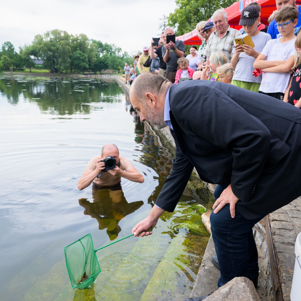 Během samotného vypouštění malých karasů obecných ředitelem Zoo Praha Miroslavem Bobkem se přítomný fotograf ČTK ukázal být odvážlivcem a především otužilcem vskutku nevídaným. Foto Petr Hamerník, Zoo Praha Během samotného vypouštění malých karasů obecných ředitelem Zoo Praha Miroslavem Bobkem se přítomný fotograf ČTK ukázal být odvážlivcem a především otužilcem vskutku nevídaným. Foto Petr Hamerník, Zoo Praha