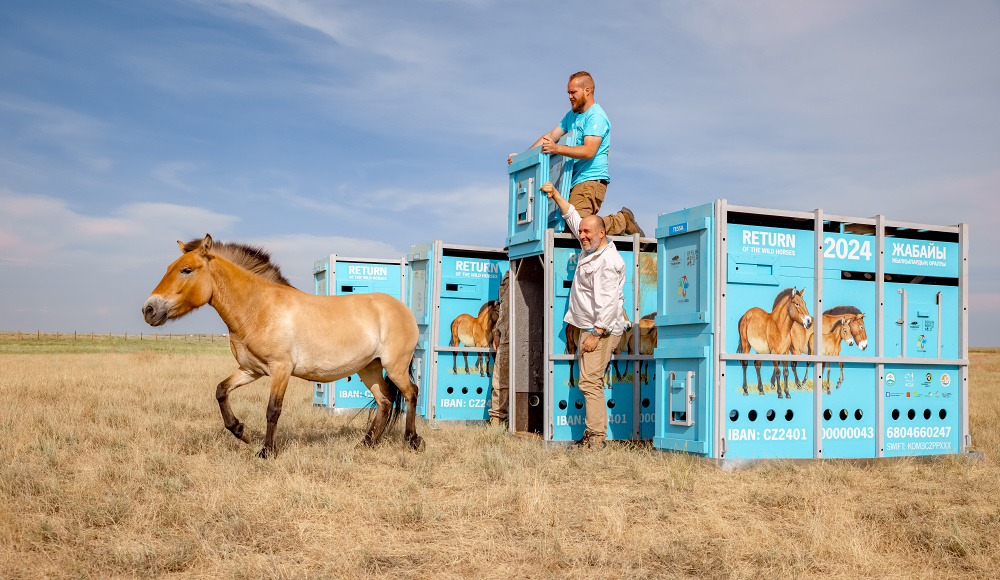 Foto: Anna Bernátková