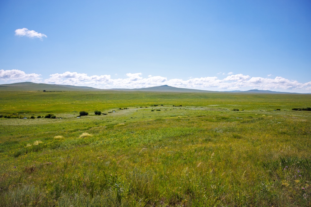 K prvnímu nálezu křižáka pruhovaného (Argiope bruennichi) v Mongolsku došlo na mírném svahu nad meandry Hákovité řeky. Foto: Miroslav Bobek, Zoo Praha