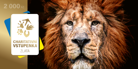 V prodeji jsou čtyři nominální hodnoty vstupenek – 100 Kč, 500 Kč, 1 000 Kč nebo 2 000 Kč. Zdroj Zoo Praha V prodeji jsou čtyři nominální hodnoty vstupenek – 100 Kč, 500 Kč, 1 000 Kč nebo 2 000 Kč. Zdroj Zoo Praha