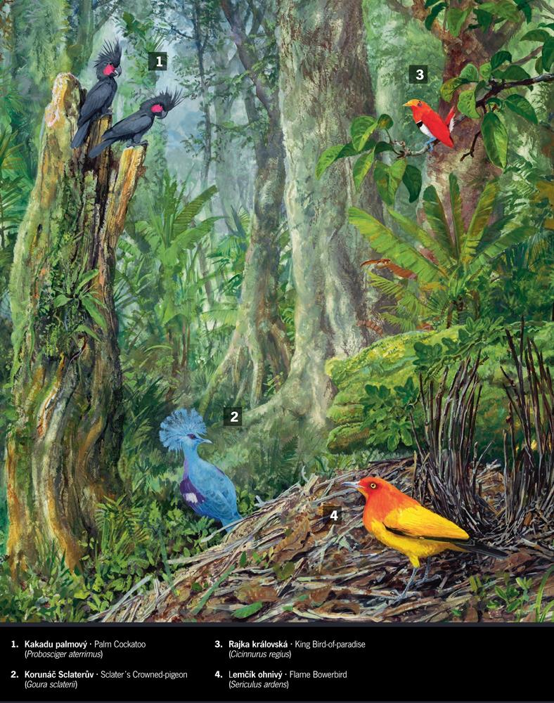 Ilustrace: Pavel Procházka