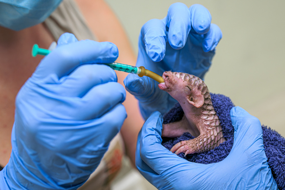 Foto: Petr Hamerník, Zoo Praha