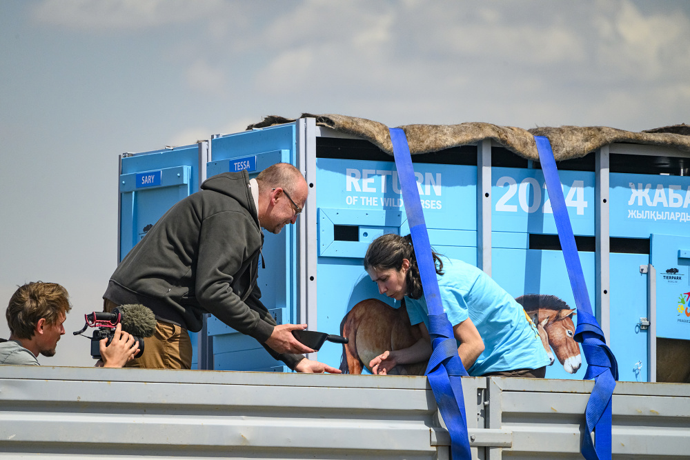 Foto: Tomáš Hulík