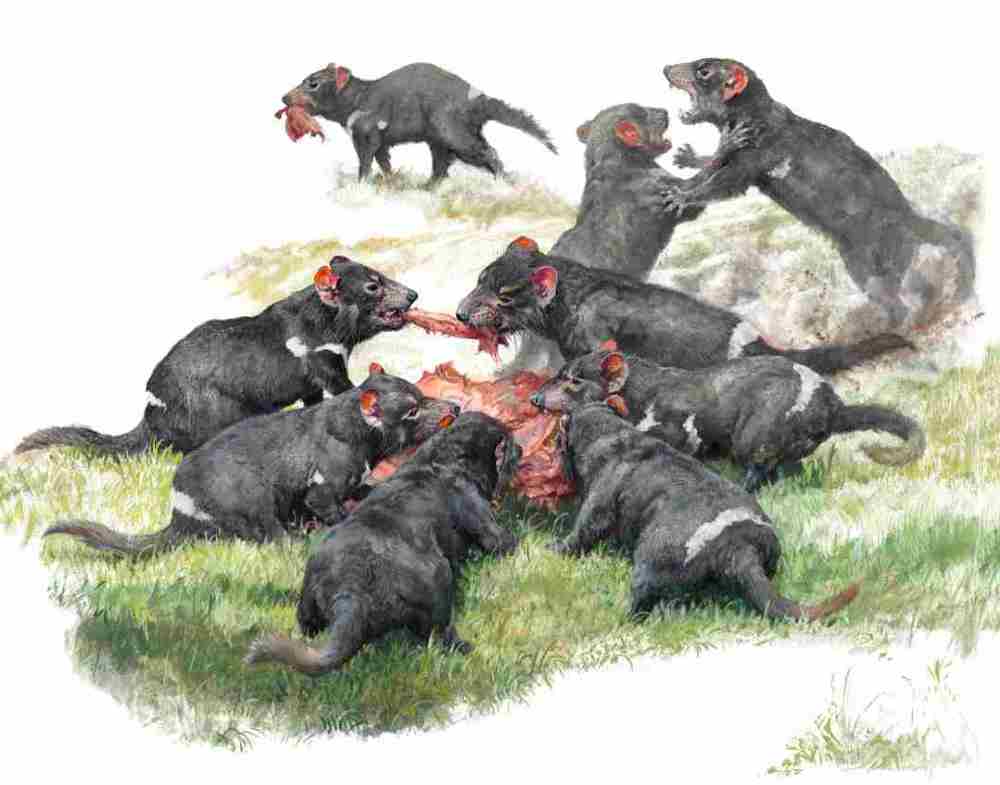 (c) Pavel Procházka