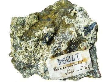 Foto: Dalibor Velebil