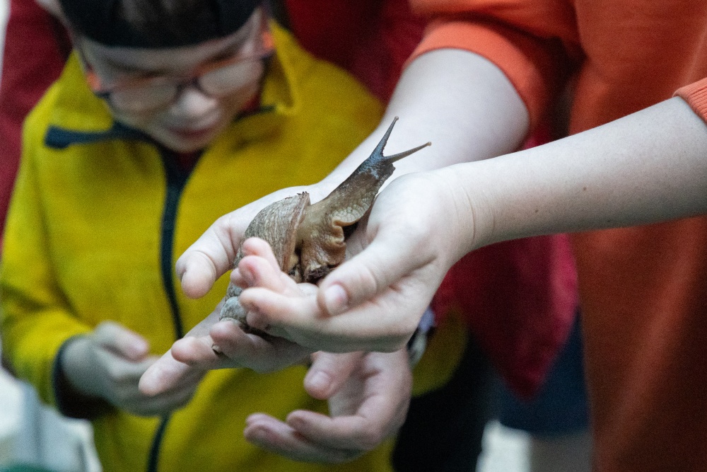 Foto: Tereza Mrhálková, Zoo Praha