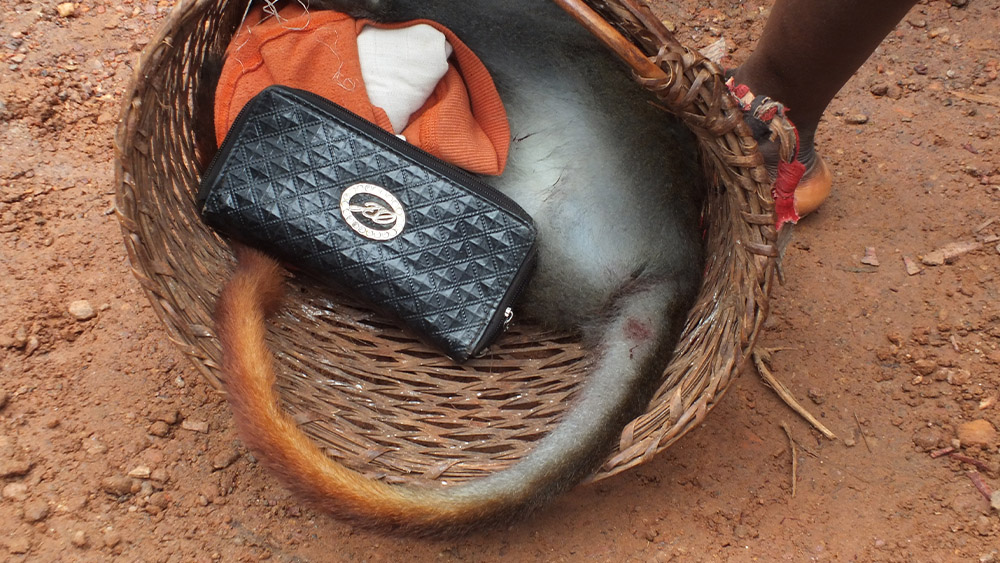 Kočkodan muido upytlačený