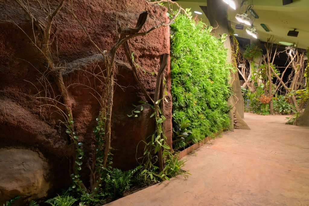 V pavilonu spatříte rovněž zelené stěny kompletně osázené vegetací. Foto: Petr Hamerník, Zoo Praha