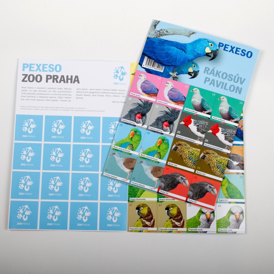 Na pexesu se objevují i méně známí ptáci z Rákosova pavilonu, jako je například tinama tatupa nebo holub podkovní. Foto: Tereza Mrhálková, Zoo Praha