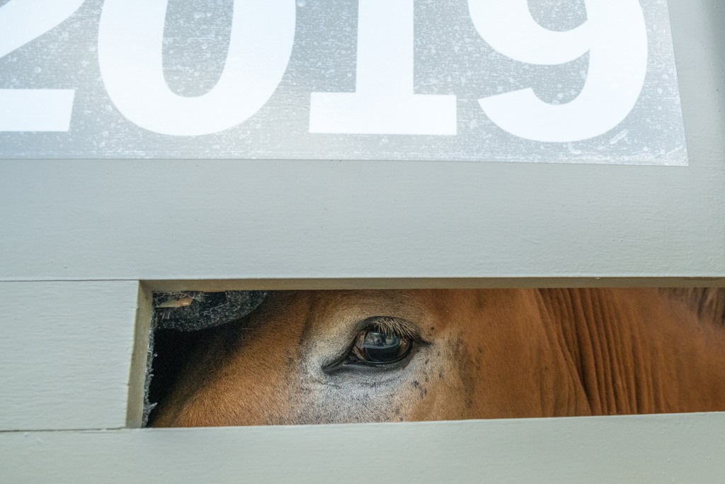 Jedna z letošních kandidátek v přepravním boxu. Foto: Petr Hamerník, Zoo Praha
