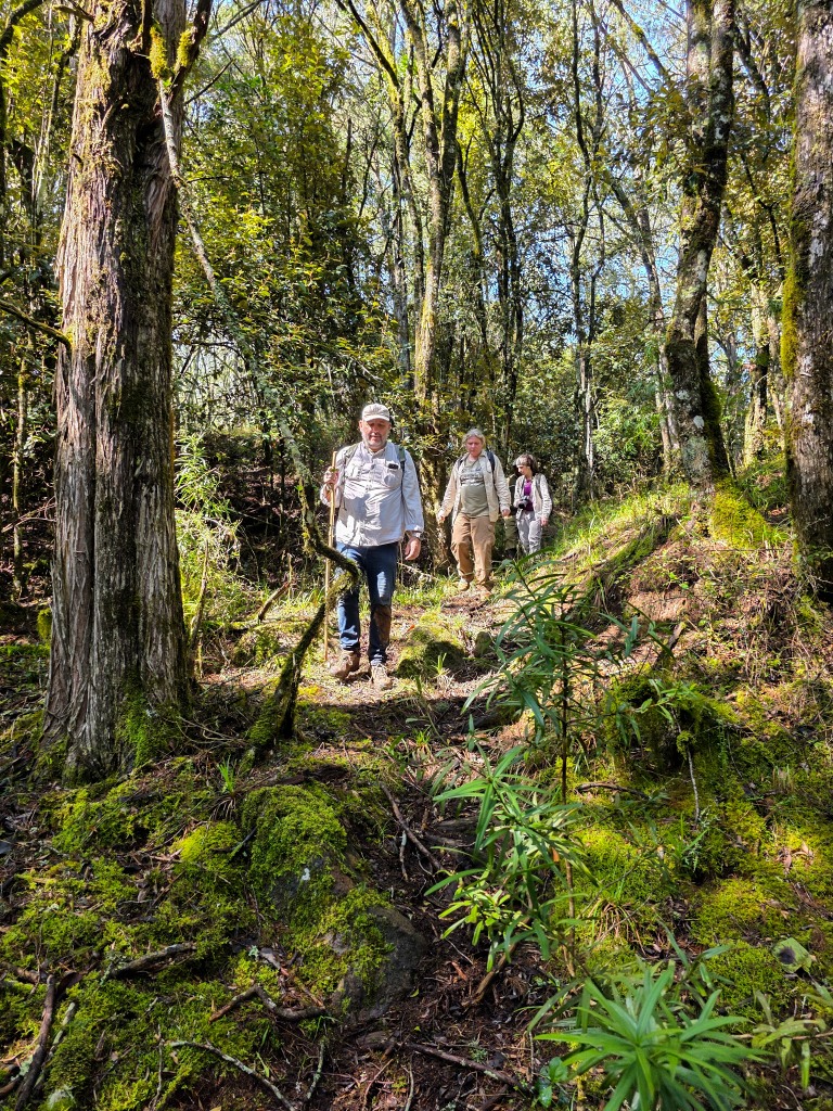 Neschůdným terénem za tajemnými antilopami. Foto: Robert Aruho