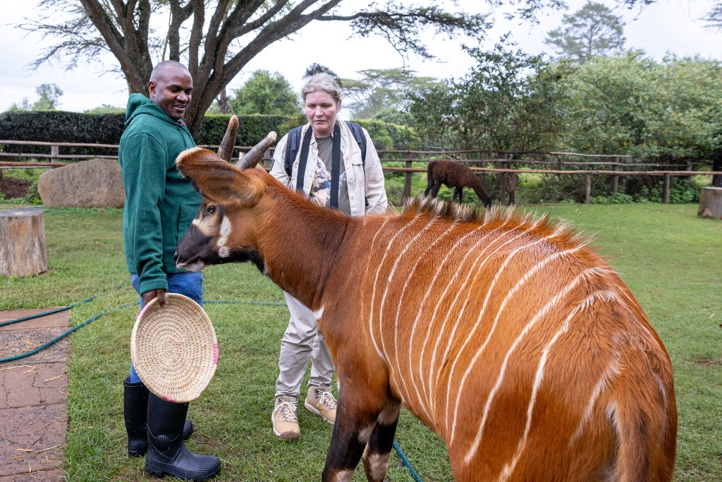 Chovatelka Lucie Křížová v Mount Kenya Wildlife Conservancy. Foto: Miroslav Bobek, Zoo Praha