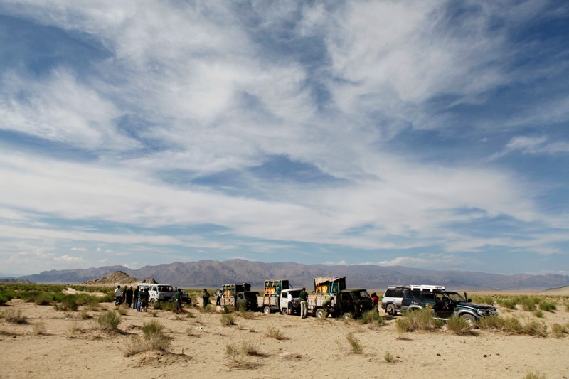 Pozemní část transport koní byla dlouhá zhruba 200 kilometrů. Foto © Miroslav Bobek, Zoo Praha