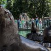 Foto: Petr Hamerník, Zoo Praha