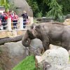 Foto: Tomáš Adamec, Zoo Praha