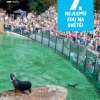 CL kampaňě 7. nejlepší zoo na světě, foto: Petr Hamerník, Zoo Praha